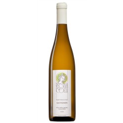 Sauvignon pozdní sběr 2018