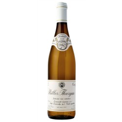 Müller Thurgau 2019