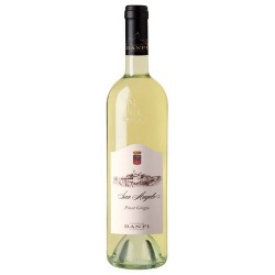 Pinot Grigio San Angelo 2020