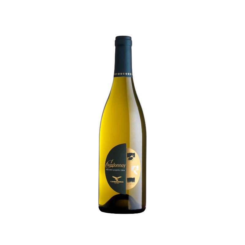 Giuseppe Campagnola | Chardonnay Veneto 2020 Giuseppe Campagnola | Chardonnay Veneto 2020