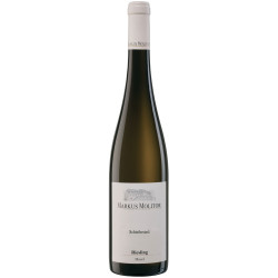 Riesling Schiefersteil  2017 trocken...