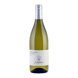 Pinot Bianco Weissburgunder 2021