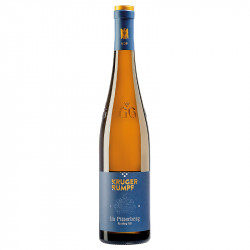 Weingut Kruger-Rumpf | Riesling Im Pitterberg GG Grosses Gewächs trocken 2021