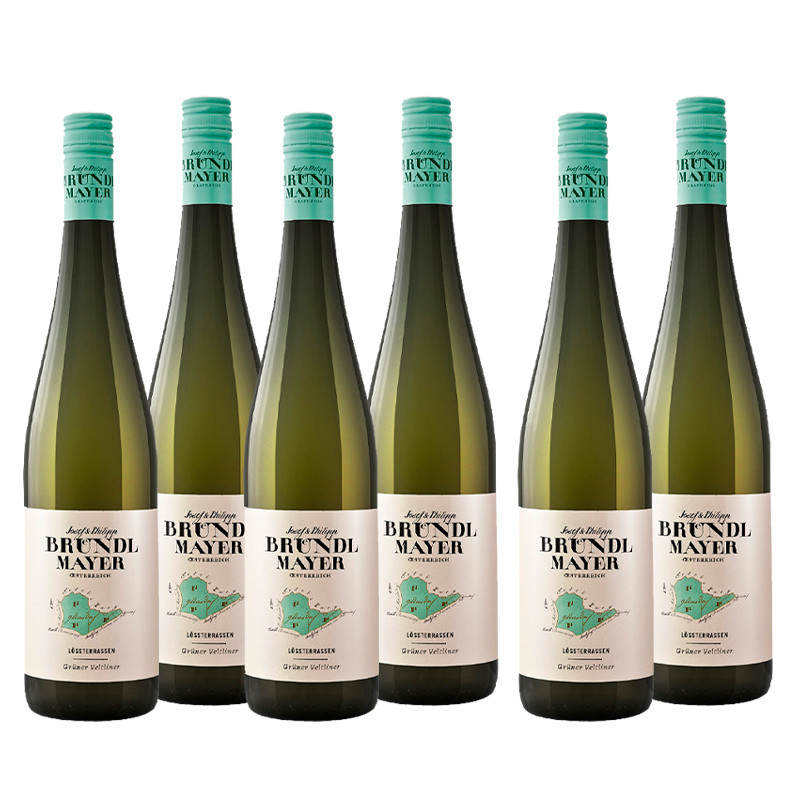 Weingut J&P Bründlmayer | 4+2 Grüner Veltliner Lössterrassen 2021 Weingut J&P Bründlmayer | 4+2 Grüner Veltliner Lössterrassen 2021