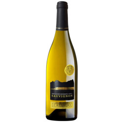 Guiseppe Campagnola | Sauvignon Bianco Cataldo IGT 2022