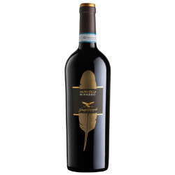 Valpolicella Ripasso Classico...