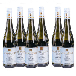 4+2 Riesling Gutswein trocken 2021 GM