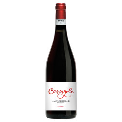 Syrah Caringole 2023