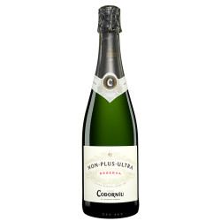 Cava Non Plus Ultra Reserva 2022 brut