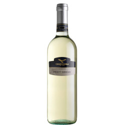 Giuseppe Campagnola | Pinot Grigio DOC Delle Venezie 2023