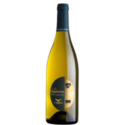 Chardonnay Veneto IGT 2024