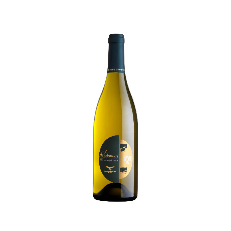 Giuseppe Campagnola | Chardonnay Veneto IGT 2024