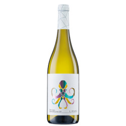 Tenuta Talamonti | Diversitas Polpo Pinot Grigio Colline Pescaresi IGP 2024