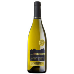 Giuseppe Campagnola | Sauvignon Bianco Cataldo IGT 2024