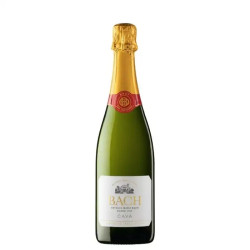 Codorníu Raventos Maisa Bach | Cava Bach brut