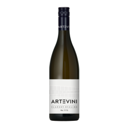 Arte Vini | Ryzlink Vlašský 2023 mzv