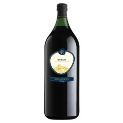 Merlot Veneto 2023 2l