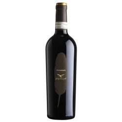 Ripasso Valpolicella DOC Classico 2018