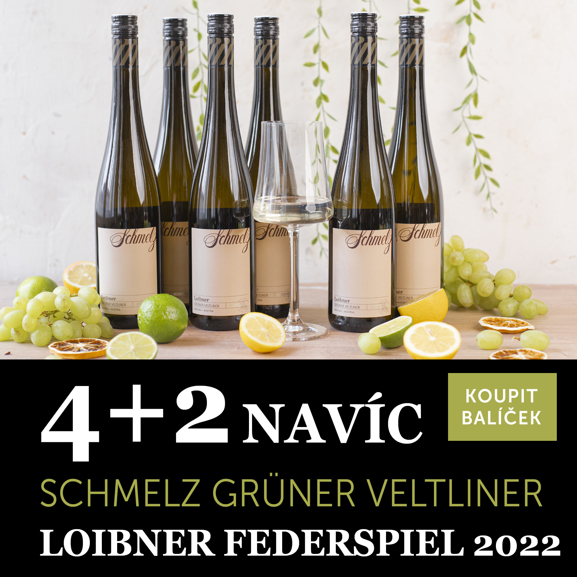 Víno měsíce května - Schmelz Grüner Veltliner Loibner Federspiel 2022 4+2 navíc
