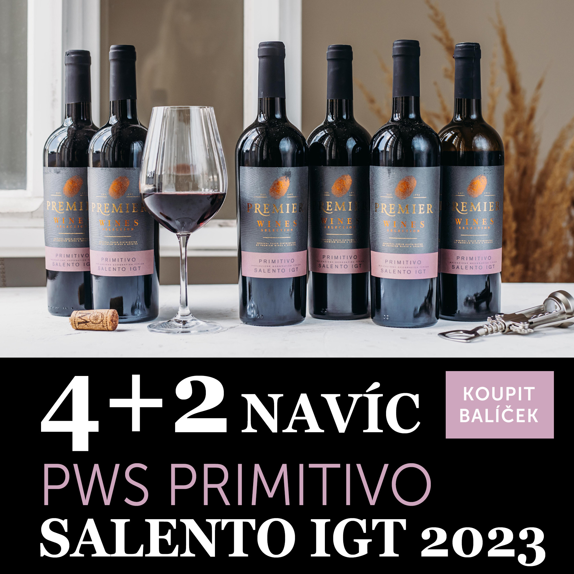 Víno měsíce července - PWS Primitivo Salento IGT 2023 4+2 navíc