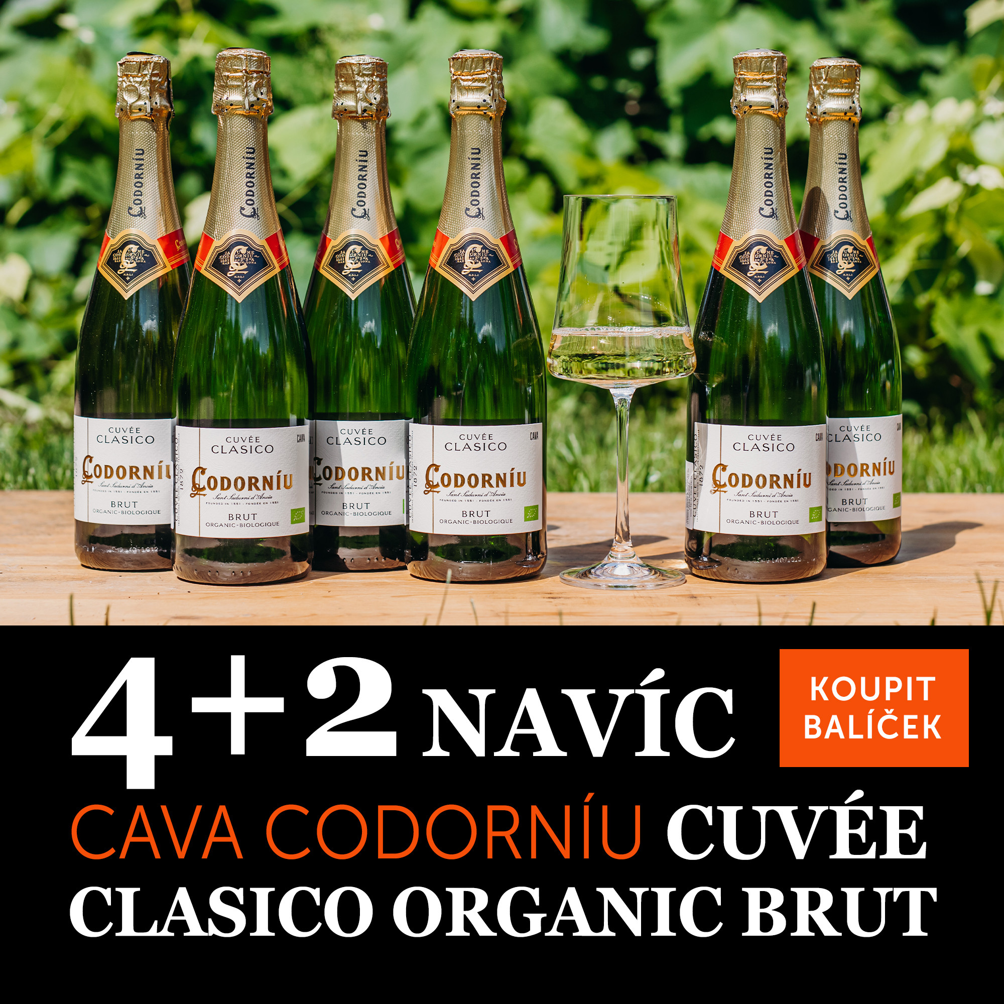 Víno měsíce srpna - Codorníu Cava Cuvée Clasico brut 4+2 navíc - UKONČENO